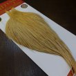 画像5: 【WHITING】ROOSTER Cape Bronze Grade - LightGinger No.2 (5)