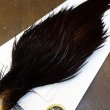 画像2: 【WHITING】High & Dry ROOSTER Cape - Dyed Grizzly Coachman Brown No.2 (2)