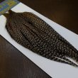 画像5: 【WHITING】High & Dry ROOSTER Cape - Grizzly Variant No.1 (5)