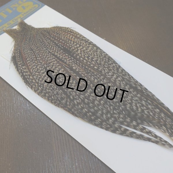 画像5: 【WHITING】High & Dry ROOSTER Cape - Grizzly Variant No.1 (5)