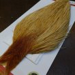 画像2: 【WHITING】ROOSTER Cape Bronze Grade - LightGinger No.1 (2)