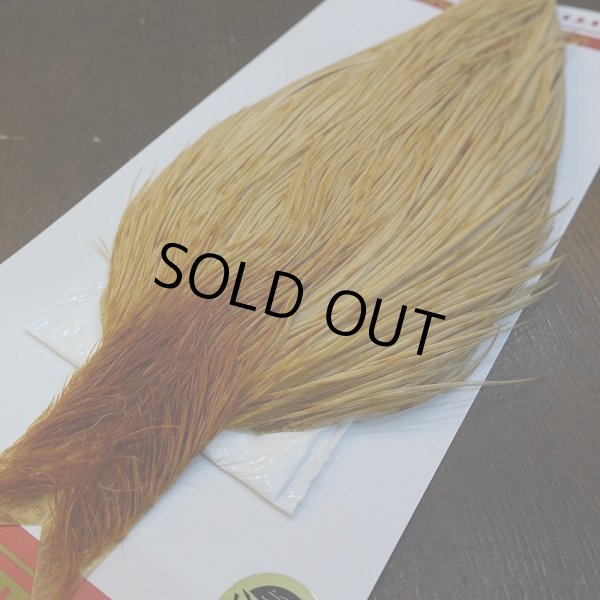 画像2: 【WHITING】ROOSTER Cape Bronze Grade - LightGinger No.1 (2)