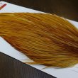 画像3: 【WHITING】ROOSTER Cape Bronze Grade - Medium Ginger No.2 (3)