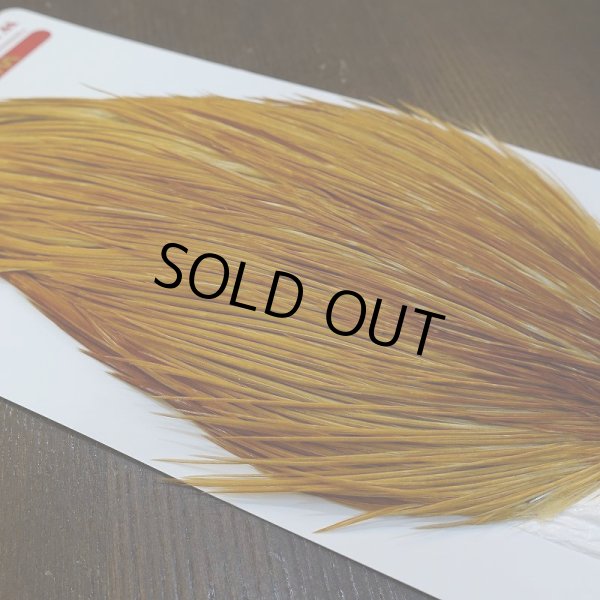 画像3: 【WHITING】ROOSTER Cape Bronze Grade - Medium Ginger No.2 (3)