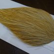 画像3: 【WHITING】ROOSTER Cape Bronze Grade - LightGinger No.2 (3)