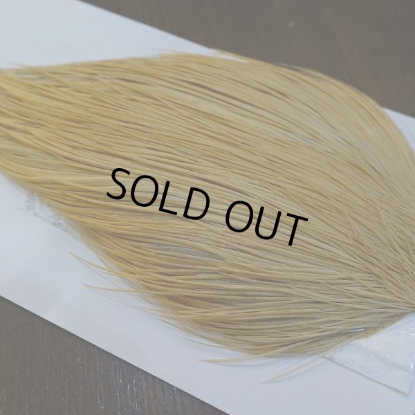 画像3: 【WHITING】ROOSTER Cape Bronze Grade - LightGinger No.2 (3)