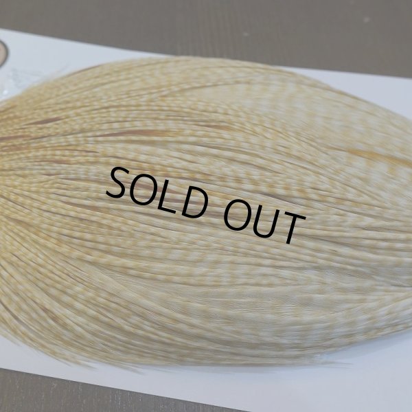 画像4: 【Whiting】ROOSTER CAPE Bronze Grade - BARRED MED GINGER No.2 (4)