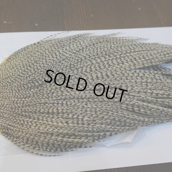 画像4: 【Whiting】ROOSTER CAPE Bronze Grade - Grizzly Variant (4)