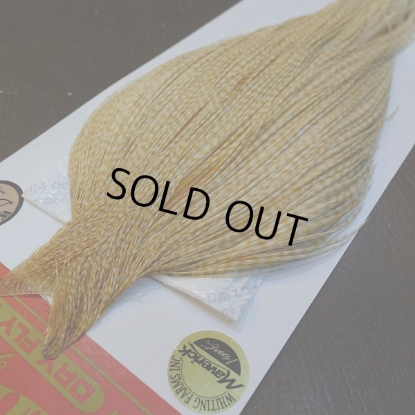 画像2: 【Whiting】ROOSTER CAPE Bronze Grade - BARRED MED GINGER No.1 (2)