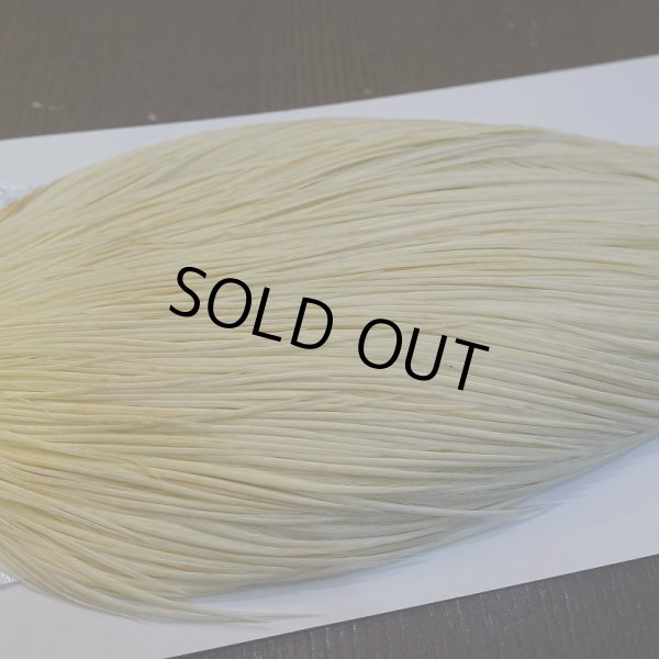 画像4: 【WHITING】High & Dry ROOSTER Cape - WHITE No.1 (4)