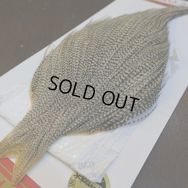 画像2: 【Whiting】ROOSTER CAPE Bronze Grade - Grizzly Variant (2)