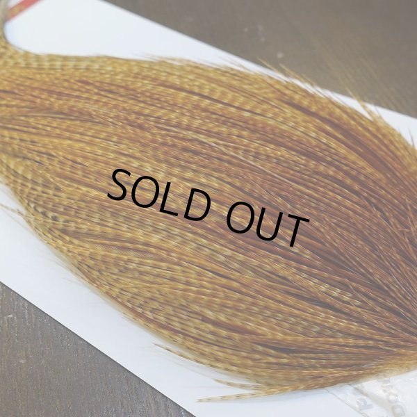 画像3: 【Whiting】ROOSTER CAPE Bronze Grade - BARRED DK GINGER No.2 (3)