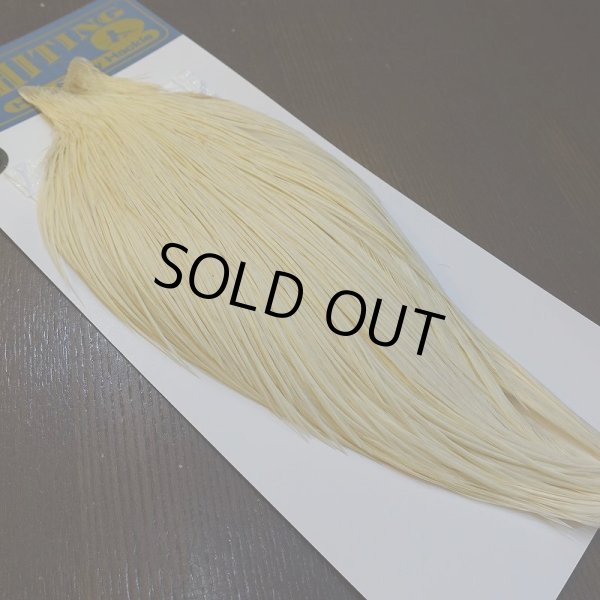 画像5: 【WHITING】High & Dry ROOSTER Cape - WHITE No.1 (5)