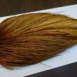 画像4: 【WHITING】ROOSTER Cape Bronze Grade - Medium Ginger No.1 (4)