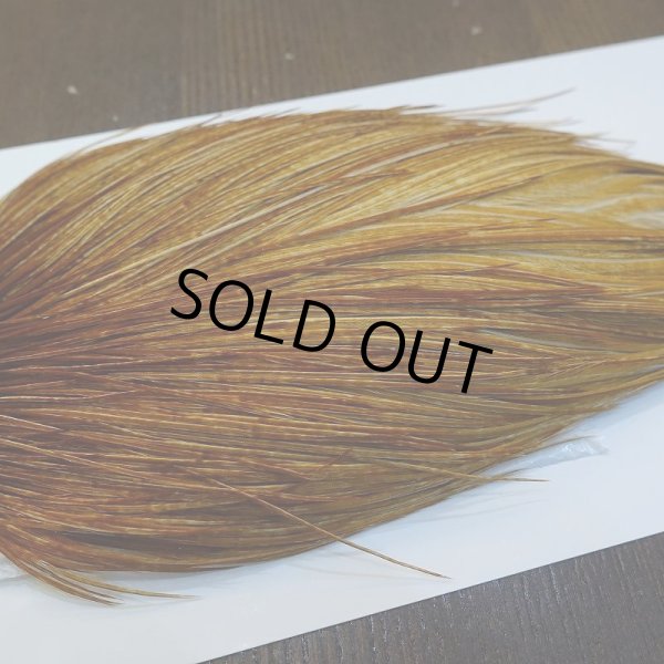 画像4: 【WHITING】ROOSTER Cape Bronze Grade - Medium Ginger No.1 (4)