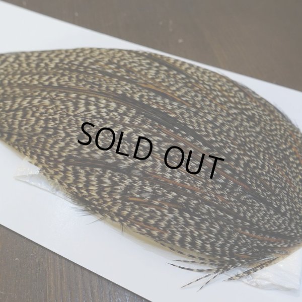 画像3: 【WHITING】High & Dry ROOSTER Cape - Grizzly Variant No.1 (3)