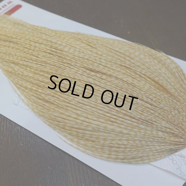 画像3: 【Whiting】ROOSTER CAPE Bronze Grade - BARRED MED GINGER No.1 (3)