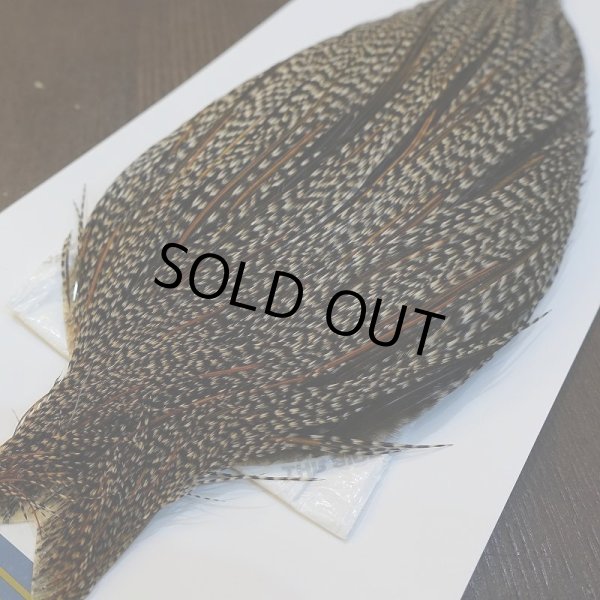 画像2: 【WHITING】High & Dry ROOSTER Cape - Grizzly Variant No.1 (2)