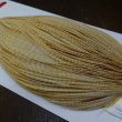 画像3: 【Whiting】ROOSTER CAPE Bronze Grade - BARRED MED GINGER No.2 (3)