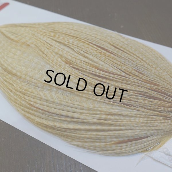 画像3: 【Whiting】ROOSTER CAPE Bronze Grade - BARRED MED GINGER No.2 (3)