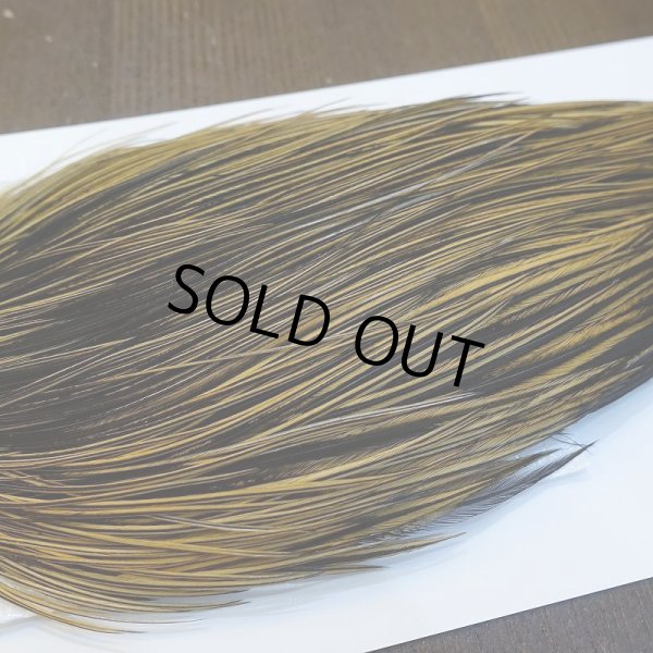 画像4: 【Whiting】ROOSTER CAPE Bronze Grade - GOLDEN BADGER No.1 (4)