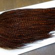 画像4: 【WHITING】High & Dry ROOSTER Cape - Dyed Grizzly Coachman Brown No.4 (4)