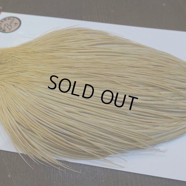 画像4: 【WHITING】ROOSTER Cape Bronze Grade - LightGinger No.2 (4)