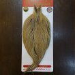 画像1: 【Whiting】ROOSTER CAPE Bronze Grade - GOLDEN BADGER No.2 (1)