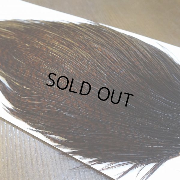 画像3: 【WHITING】High & Dry ROOSTER Cape - Dyed Grizzly Coachman Brown No.3 (3)