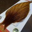 画像2: 【WHITING】ROOSTER Cape Bronze Grade - Medium Ginger No.1 (2)