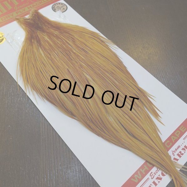 画像5: 【WHITING】ROOSTER Cape Bronze Grade - Medium Ginger No.2 (5)