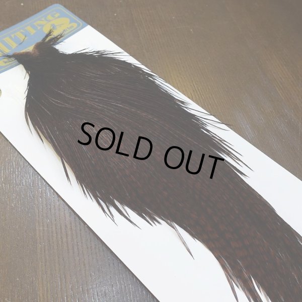 画像5: 【WHITING】High & Dry ROOSTER Cape - Dyed Grizzly Coachman Brown No.2 (5)