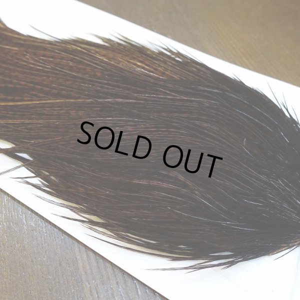 画像3: 【WHITING】High & Dry ROOSTER Cape - Dyed Grizzly Coachman Brown No.2 (3)