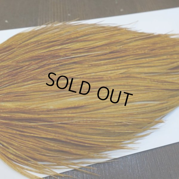 画像4: 【WHITING】ROOSTER Cape Bronze Grade - Medium Ginger No.3 (4)