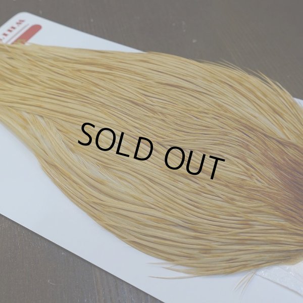 画像3: 【WHITING】ROOSTER Cape Bronze Grade - LightGinger No.1 (3)