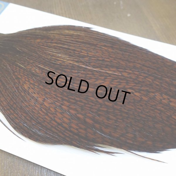 画像4: 【WHITING】High & Dry ROOSTER Cape - Dyed Grizzly Coachman Brown No.1 (4)