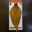 画像1: 【WHITING】ROOSTER Cape Bronze Grade - Medium Ginger No.2 (1)