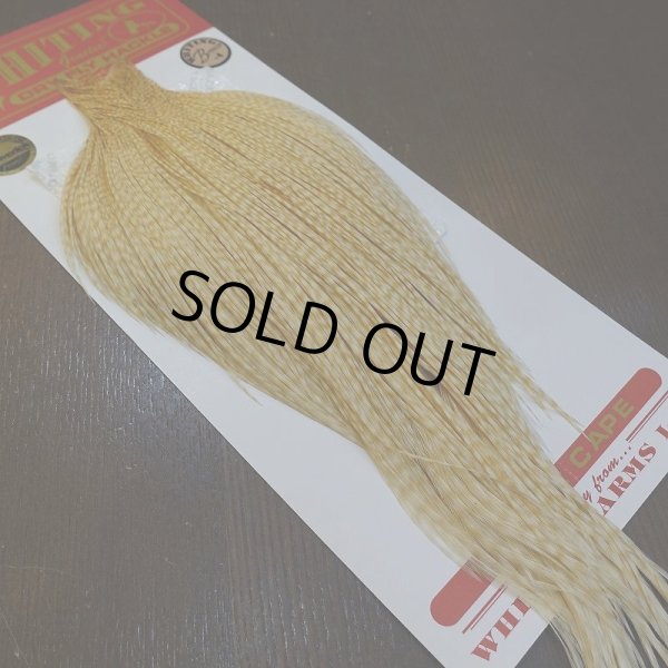 画像5: 【Whiting】ROOSTER CAPE Bronze Grade - BARRED MED GINGER No.1 (5)