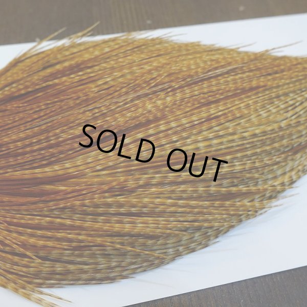 画像4: 【Whiting】ROOSTER CAPE Bronze Grade - BARRED DK GINGER No.2 (4)