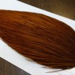 画像3: 【WHITING】ROOSTER Cape Pro Grade - DYED BROWN No.2 (3)