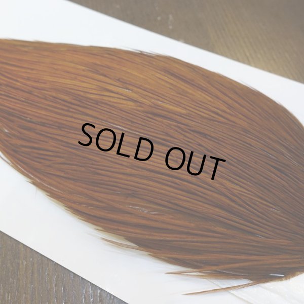 画像3: 【WHITING】ROOSTER Cape Pro Grade - DYED BROWN No.2 (3)