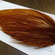 画像3: 【WHITING】ROOSTER Cape Pro Grade - Medium Ginger No.4 (3)