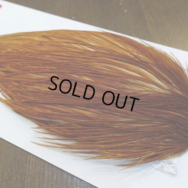 画像3: 【WHITING】ROOSTER Cape Pro Grade - Medium Ginger No.4 (3)