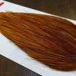 画像3: 【WHITING】ROOSTER Cape Pro Grade - Medium Ginger No.2 (3)