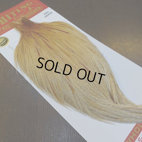 画像5: 【WHITING】ROOSTER Cape Pro Grade - Barred Medium Ginger No.4 (5)