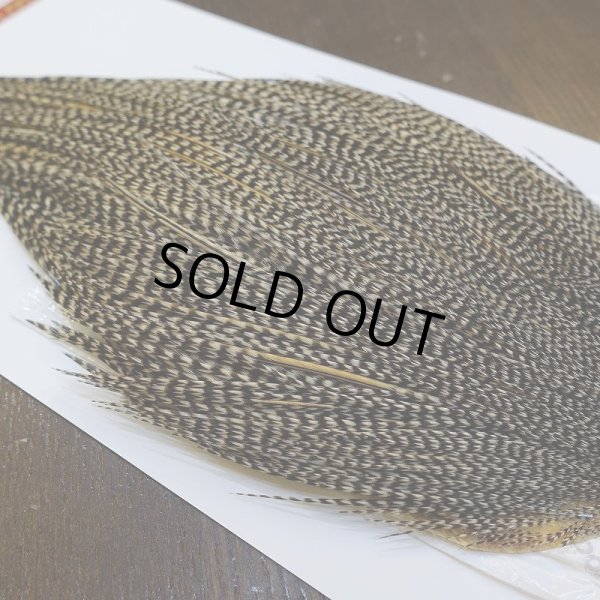 画像3: 【WHITING】ROOSTER Cape Pro Grade - Grizzly Variant No.2 (3)