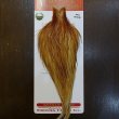 画像1: 【WHITING】ROOSTER Cape Pro Grade - Medium Ginger No.3 (1)