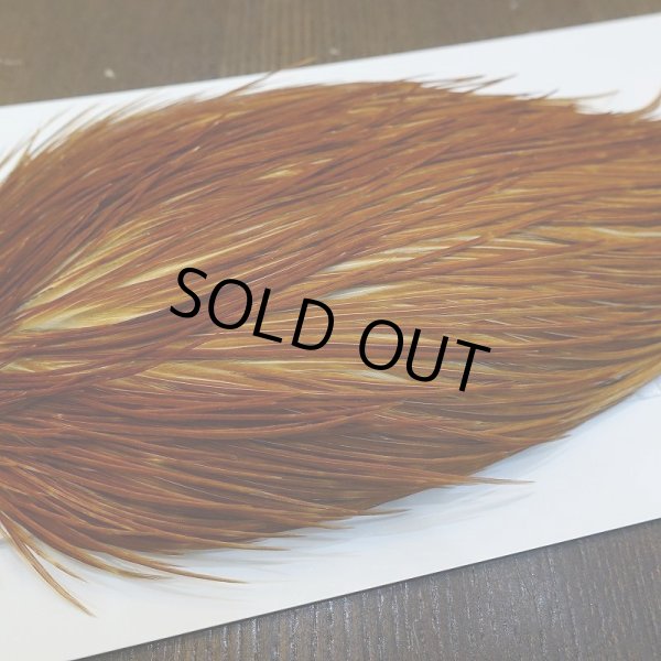 画像4: 【WHITING】ROOSTER Cape Pro Grade - Medium Ginger No.4 (4)