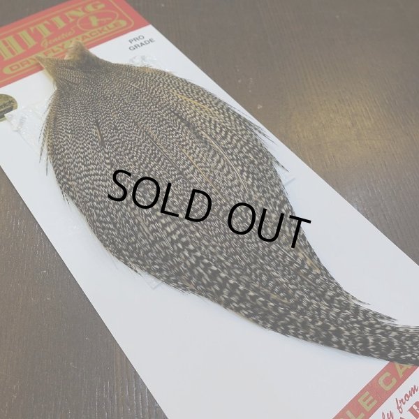 画像5: 【WHITING】ROOSTER Cape Pro Grade - Grizzly Variant No.2 (5)