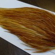 画像3: 【WHITING】ROOSTER Cape Pro Grade - Medium Ginger No.3 (3)